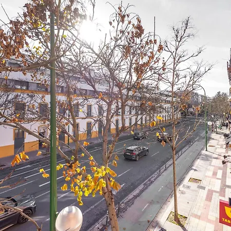 Solete's House 1a Apartment Seville